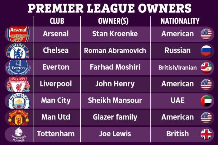 Who are the owners of the Premier League clubs?
